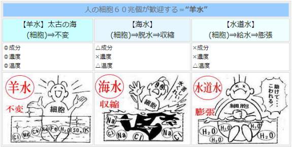 塩